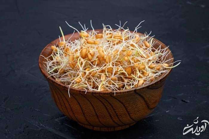 خوردن جوانه گندم 